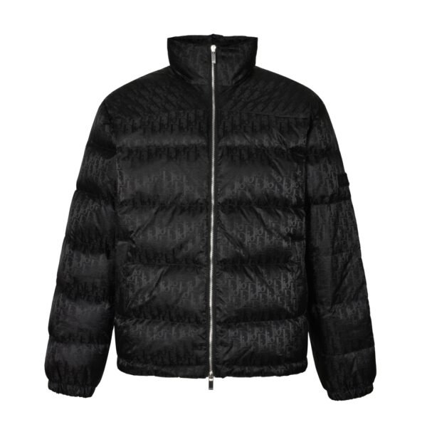 Dior 23ss downjacket Black