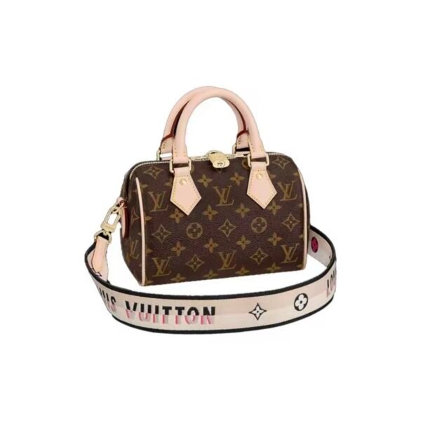 Louis Vuitton Speedy 20