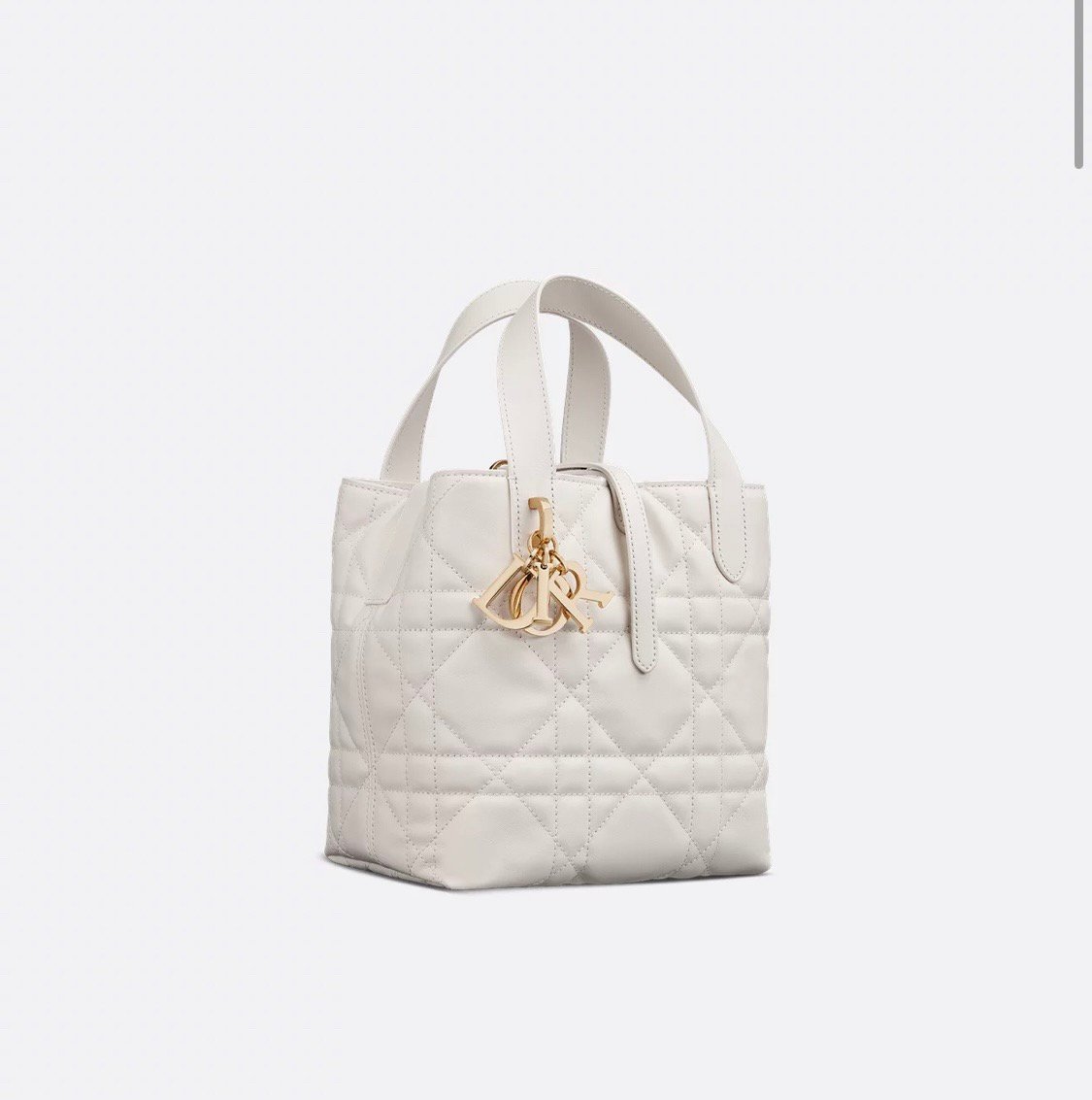 Dior Toujours Vertical Series Small White