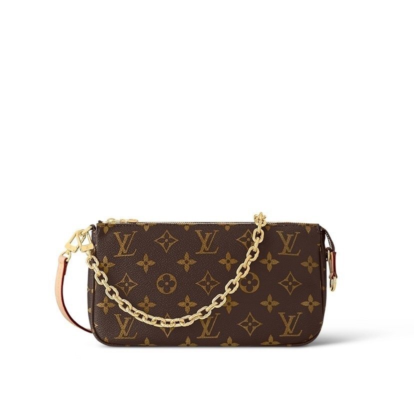 LV Pochette Accessoires Handbag