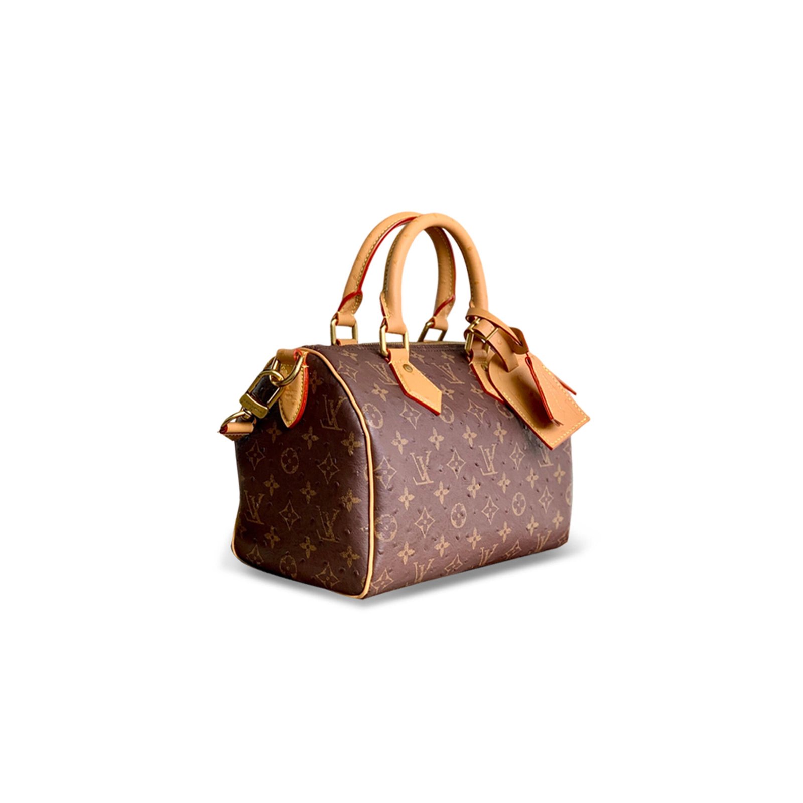 LOUIS VUITTON SPEEDY P9 BANDOULIÈRE 25 M24437 (25*15*15cm)